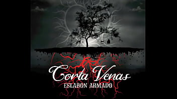 Jugaste y sufri audio oficial