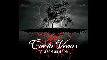 Jugaste y sufri audio oficial