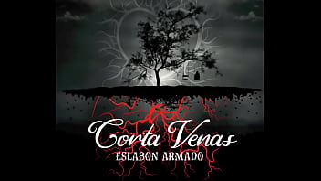 Jugaste y sufri audio oficial