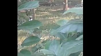 20161016 153626 1 thumbnail