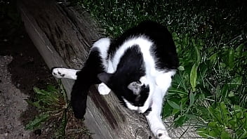 Gangsta by lavon trippy