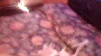 Little fatty sucking