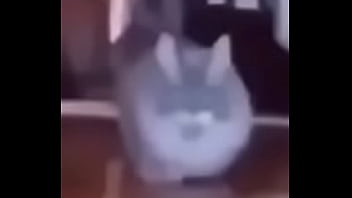 Gostosa Gostosa
