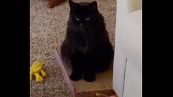 I was really lucky to have a bestfriend like her a part of me is gone in peace my beautiful angel i love