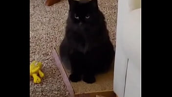 I was really lucky to have a bestfriend like her a part of me is gone in peace my beautiful angel i love