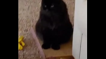 I was really lucky to have a bestfriend like her a part of me is gone in peace my beautiful angel i love