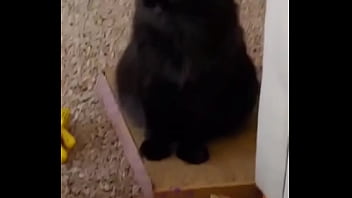 I was really lucky to have a bestfriend like her a part of me is gone in peace my beautiful angel i love