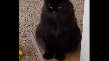 I was really lucky to have a bestfriend like her a part of me is gone in peace my beautiful angel i love