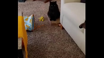 I was really lucky to have a bestfriend like her a part of me is gone in peace my beautiful angel i love