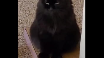 I was really lucky to have a bestfriend like her a part of me is gone in peace my beautiful angel i love