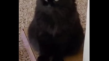 I was really lucky to have a bestfriend like her a part of me is gone in peace my beautiful angel i love