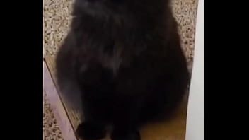 I was really lucky to have a bestfriend like her a part of me is gone in peace my beautiful angel i love