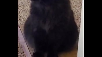 I was really lucky to have a bestfriend like her a part of me is gone in peace my beautiful angel i love