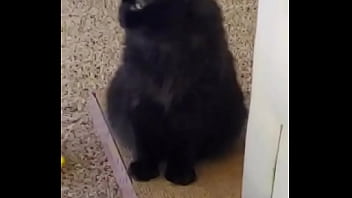 I Was Really Lucky To Have A Bestfriend Like Her A Part Of Me Is Gone Nowrest In Peace My Beautiful Angel I Love thumbnail