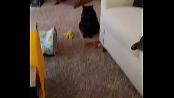 I was really lucky to have a bestfriend like her a part of me is gone in peace my beautiful angel i love