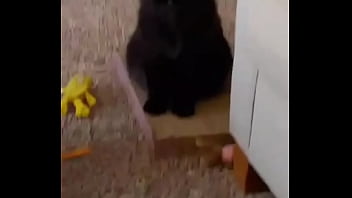 I was really lucky to have a bestfriend like her a part of me is gone in peace my beautiful angel i love