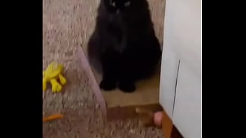 I was really lucky to have a bestfriend like her a part of me is gone in peace my beautiful angel i love