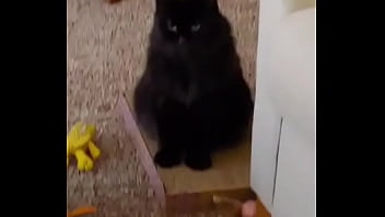 I was really lucky to have a bestfriend like her a part of me is gone in peace my beautiful angel i love