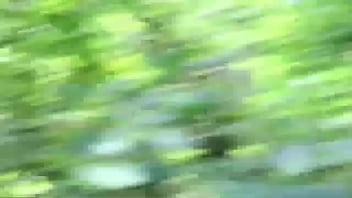 यह हमारा वीडियो