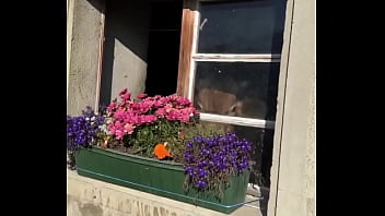 Fancy house with a sweet cow inside what’s the most unexpected thing you’ve found indoors #unexpectedfind #