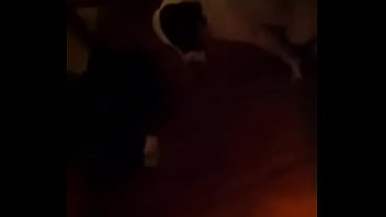 White dessert whip cream anyone