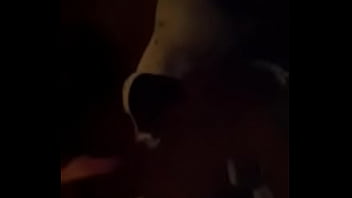 White dessert whip cream anyone