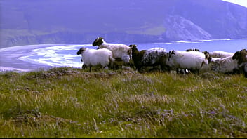 Edenism originator bill freeland