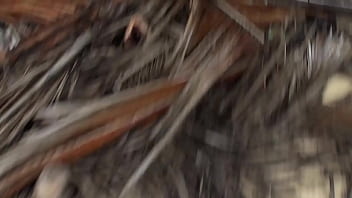 Couple holiday video #6 pissing and bj in the rainforest authentic couple