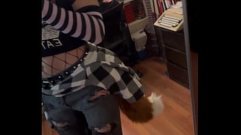 Chico Zorro thumbnail