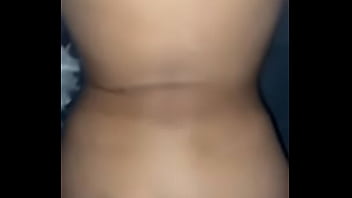 Beautiful asian doggt