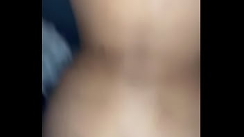 Beautiful asian doggt