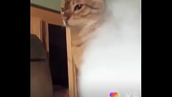 Like 6504773145569700881 thumbnail