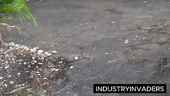 Ass & tiitties pawg queen ryan smiles big natural tits and ass