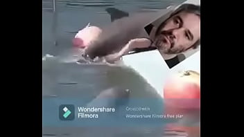 Terraplana thumbnail