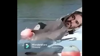 Terraplana thumbnail