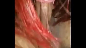 Deixei ela chupar a vontade