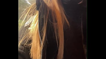 Je te montre mes seins dans le train ça te plais