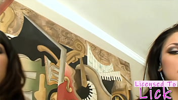 Licensed to lick audrey bitoni and paulina james the best of friends