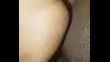 Fox is wet and loving it