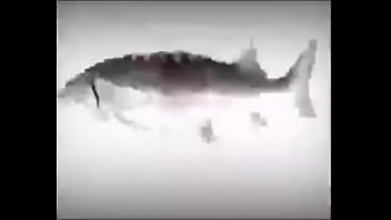 Da fuckin fish spinnin into his sister groins dasdas