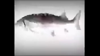 Da Fuckin Fish Spinnin Into His Sister Groins Dasdas thumbnail