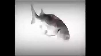 Da fuckin fish spinnin into his sister groins dasdas