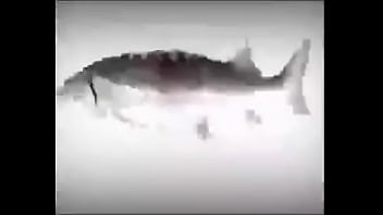 Da fuckin fish spinnin into his sister groins dasdas Da fuckin fish spinnin into his sister groins dasdas