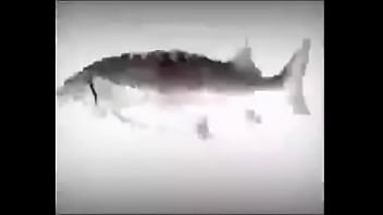 Da fuckin fish spinnin into his sister groins dasdas