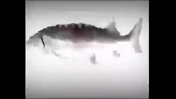 Da fuckin fish spinnin into his sister groins dasdas