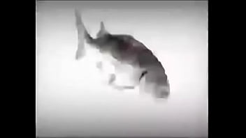 Da fuckin fish spinnin into his sister groins dasdas