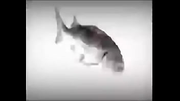 Da fuckin fish spinnin into his sister groins dasdas