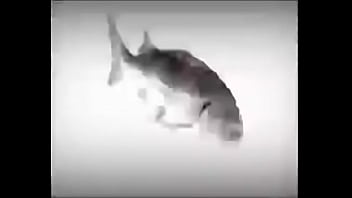 Da fuckin fish spinnin into his sister groins dasdas