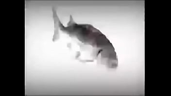 Da fuckin fish spinnin into his sister groins dasdas