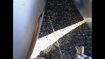 I Wet The Ground thumbnail